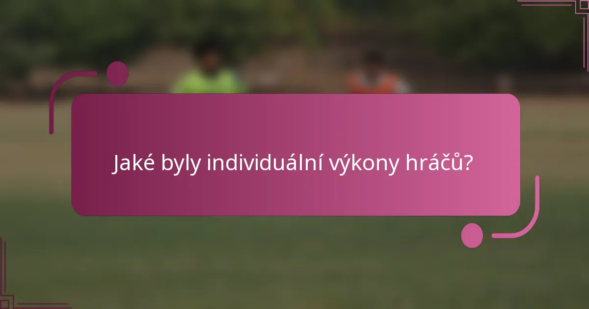 Jaké byly individuální výkony hráčů?